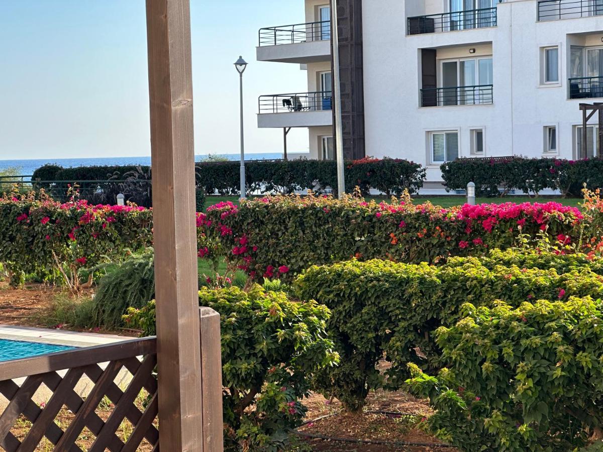 Green Apartment In Bafra Northern Cyprus Vokolidha Exterior foto